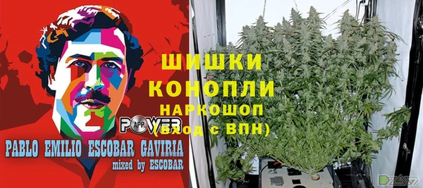jwh Аркадак