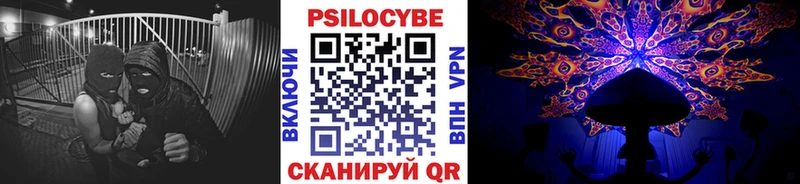 как найти закладки  Сухиничи  Псилоцибиновые грибы Psilocybine cubensis 