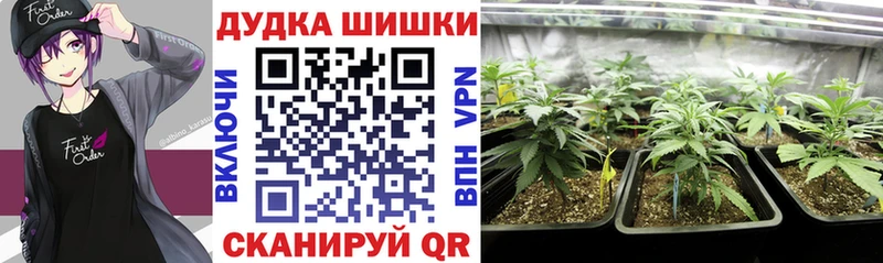 купить закладку  Сухиничи  Бошки марихуана тримм 